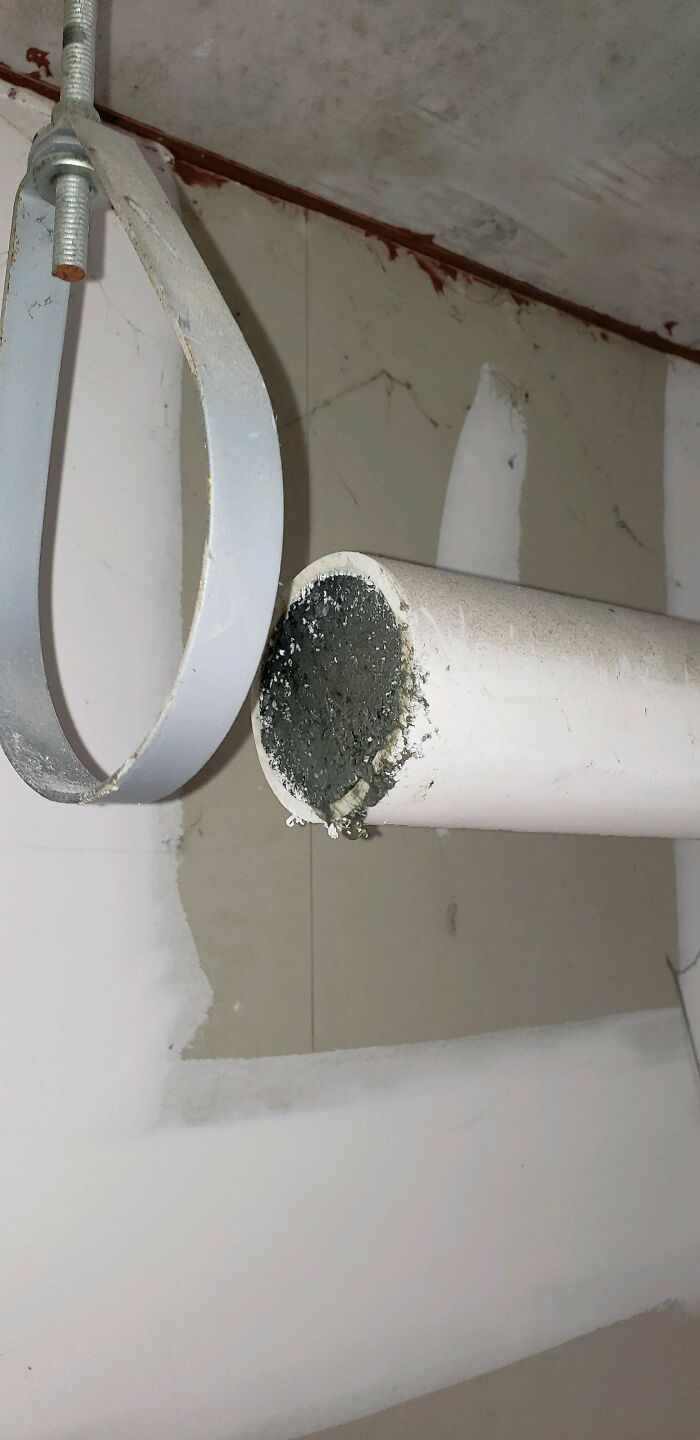 Tip: If You're Gonna Flush Cat Litter Down Your Toilet...maybe Don't