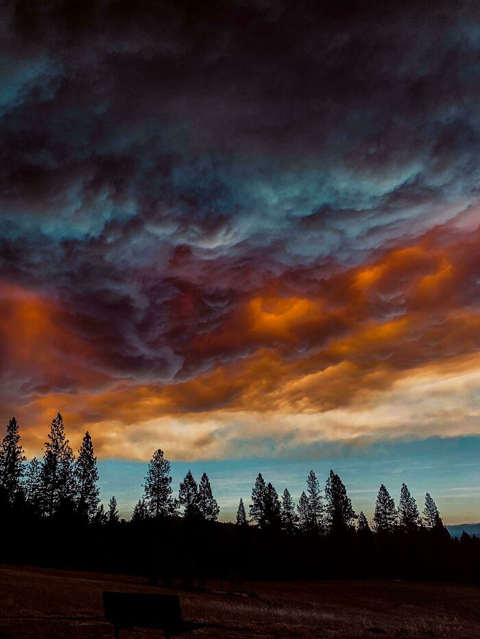 Apocalyptic Sky In Northern California Yesterday Due To Smoke From Nearby Fires