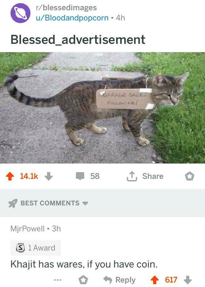 Blessed Cat