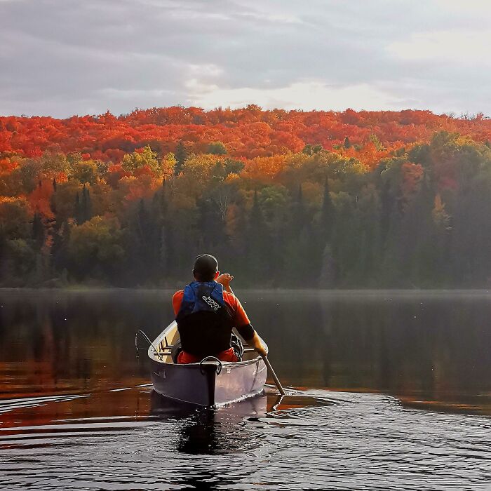 The Colors At Algonquin This Weekend Were Amazing