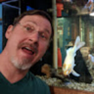 robertmiller_3 avatar