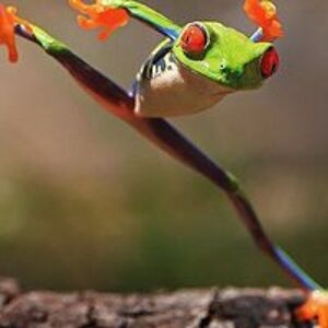 80eslstudents avatar