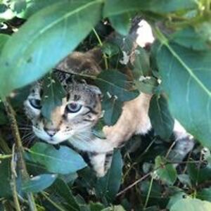 ellie_rocks04 avatar