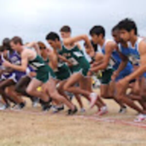 mauriceharford avatar