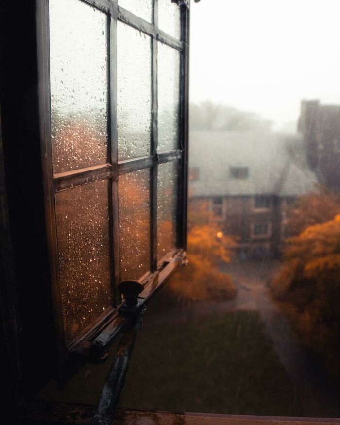 La vista de un día lluvioso desde mi dormitorio