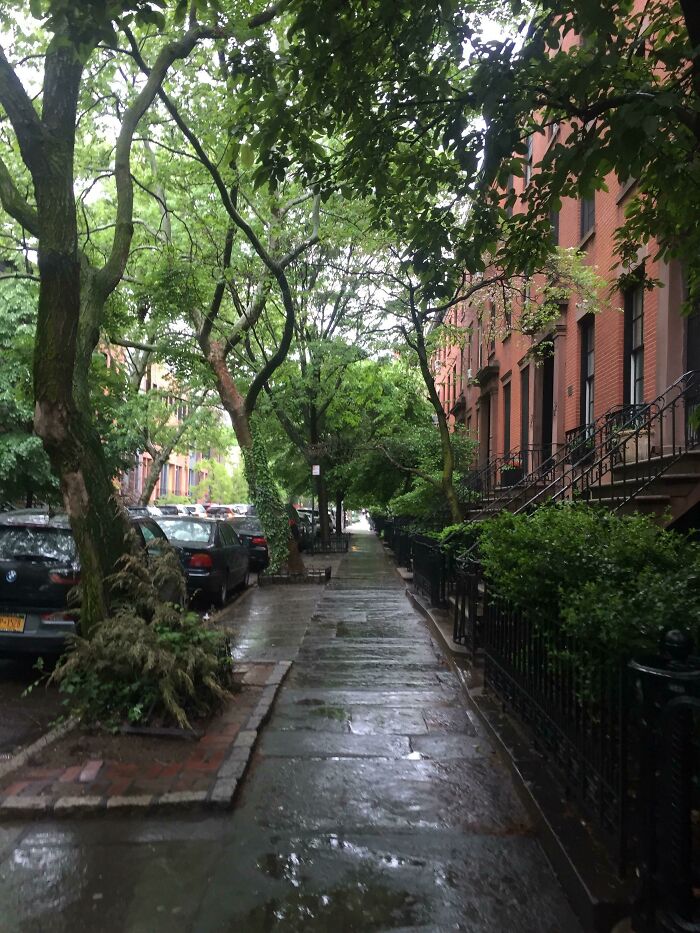 My Walk Home From Work Through Rainy Brooklyn