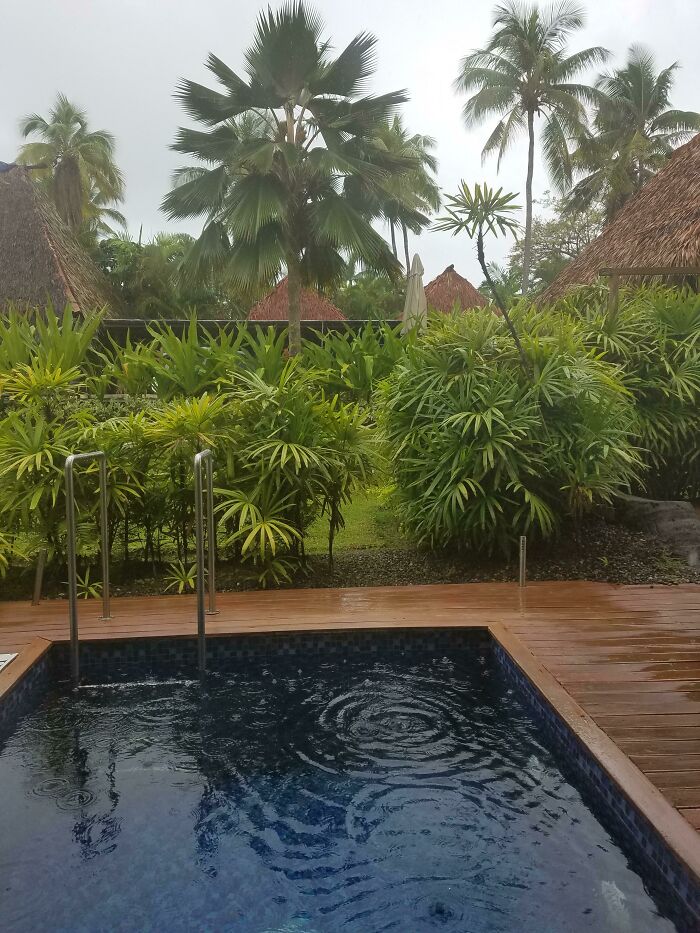Rainy Morning In Fiji