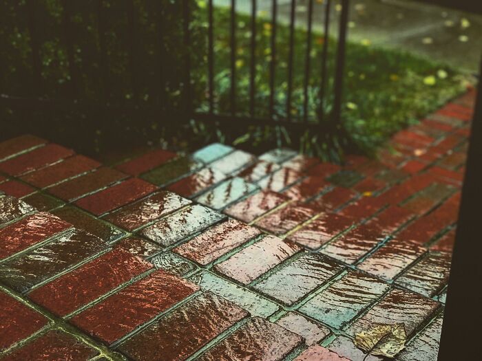 One Of My Favorite Raining Pics I Took