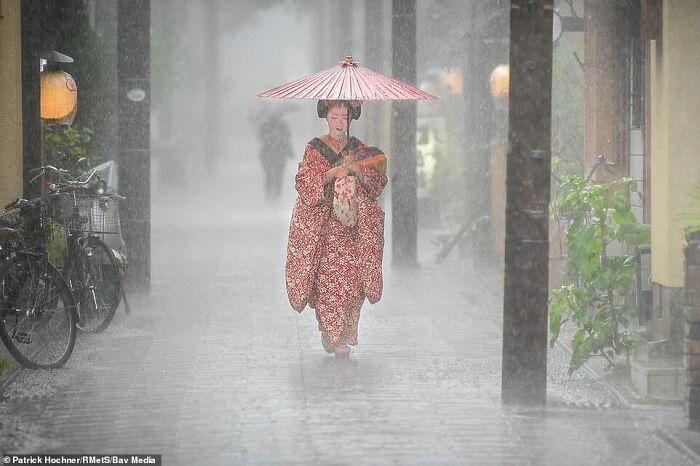 A Young Maiko Woman Protecting Herself While Walking Around Miyagawa-Cho, Kyoto In Japan
