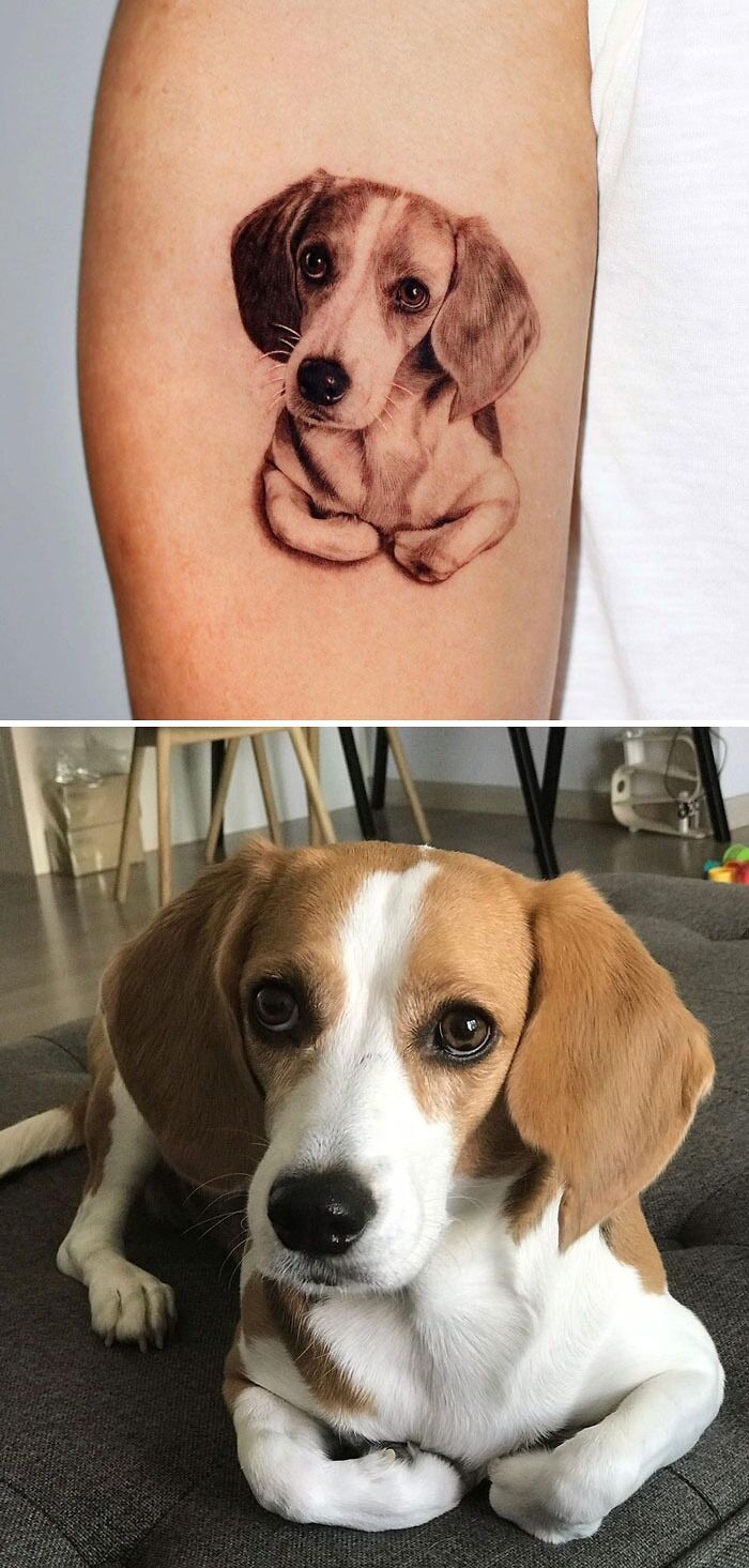 Realistic cute lying down dog tattoo