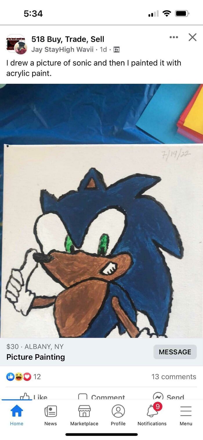 Picture Painting Of Sanic For $30?!