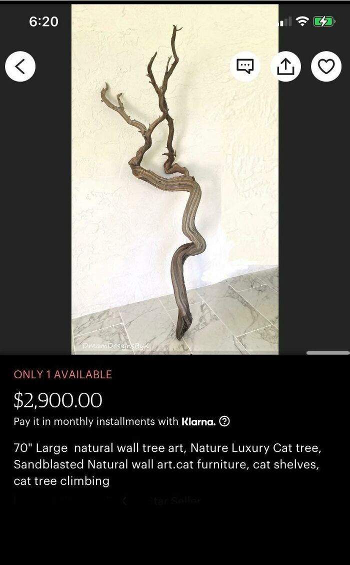 This Cat Tree, Which Is Actually A Piece Of Drift Wood, Could Be Yours For The Low Low Price Of 3k!!!