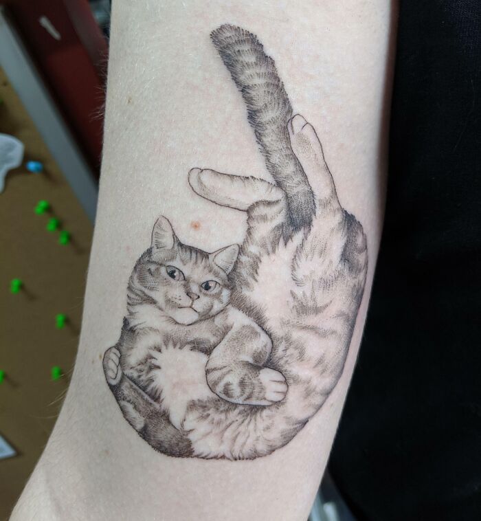 Cat lying in his back tattoo 