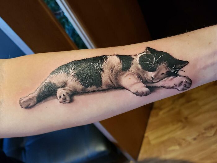 Sleeping Cat (My Cat) Tattoo