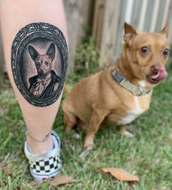 Nearly Two Months Healed, Dog Portrait