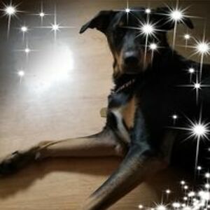 jenniferellis9307 avatar