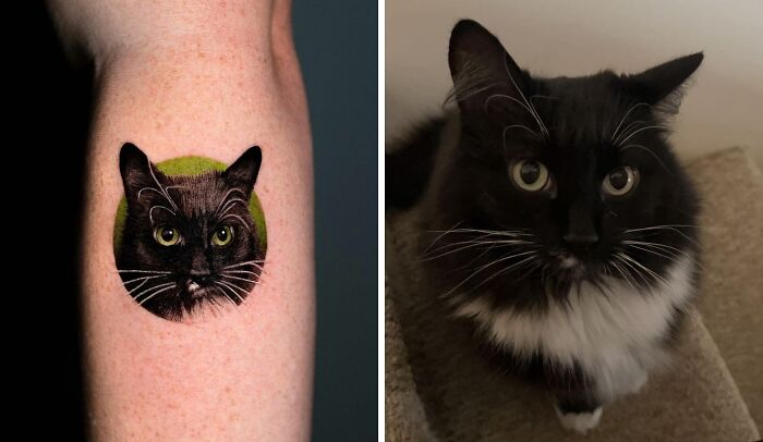 Cat's face tattoo 
