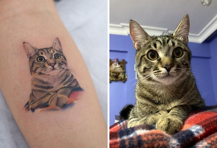Cats portrait tattoo 