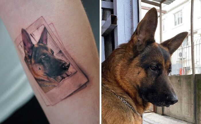 Pet Dog Tattoo