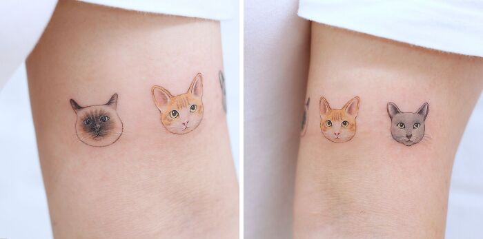 Cats Tattoo