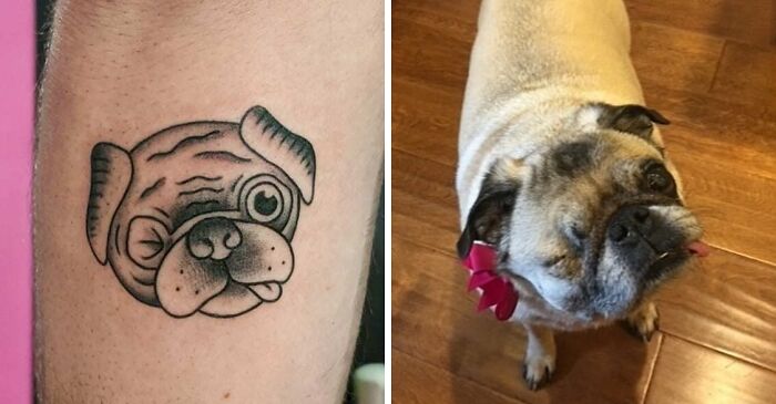 Pug's face with injured eye tattoo