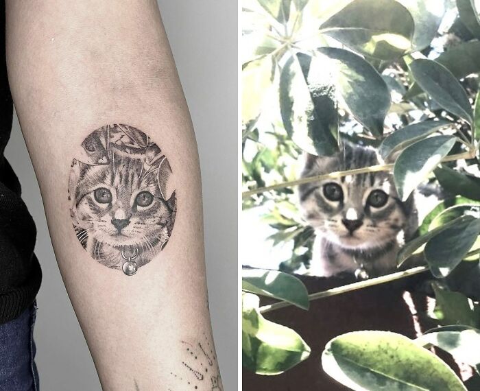 Cat hiding in the bushes tattoo