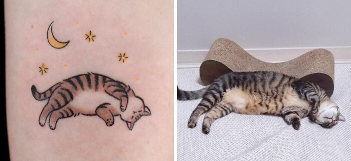 Cat taking a nap tattoo 