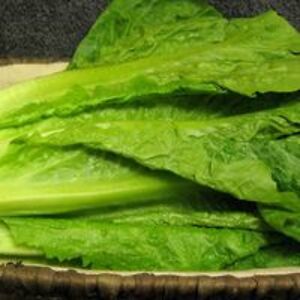 schnardspoodle avatar