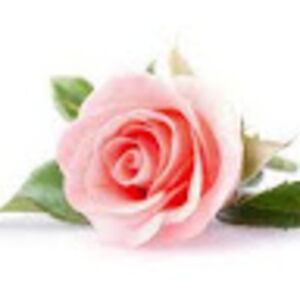 kaziamidzinski avatar