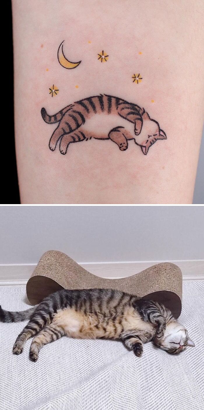 85 Animal Tattoos That Could Snap Some Creative Ideas Into Your Head