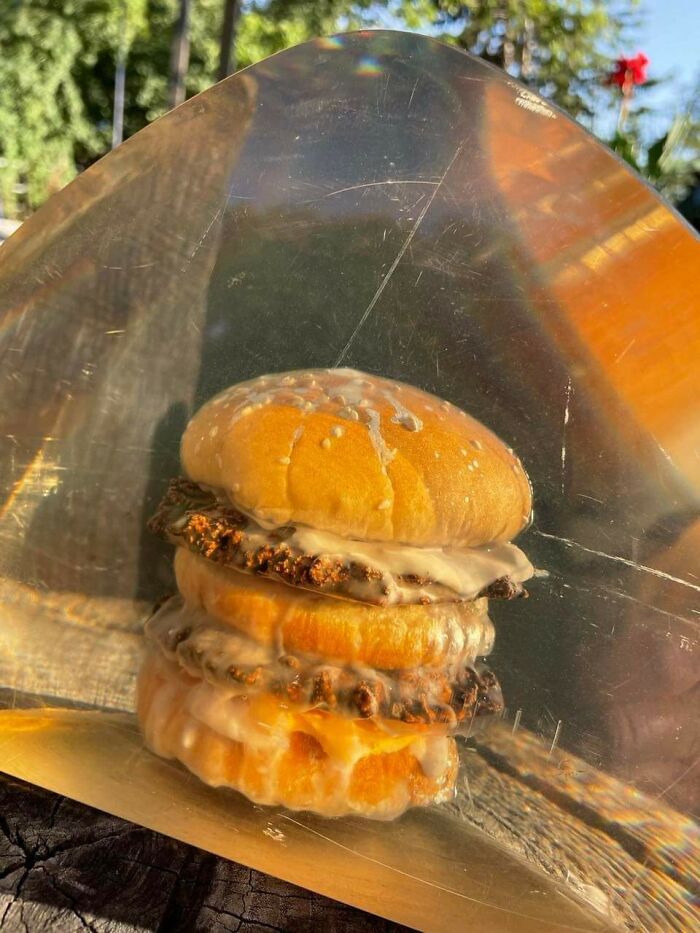 McDonald's Burger Preserved In Resin Since The Late 70s