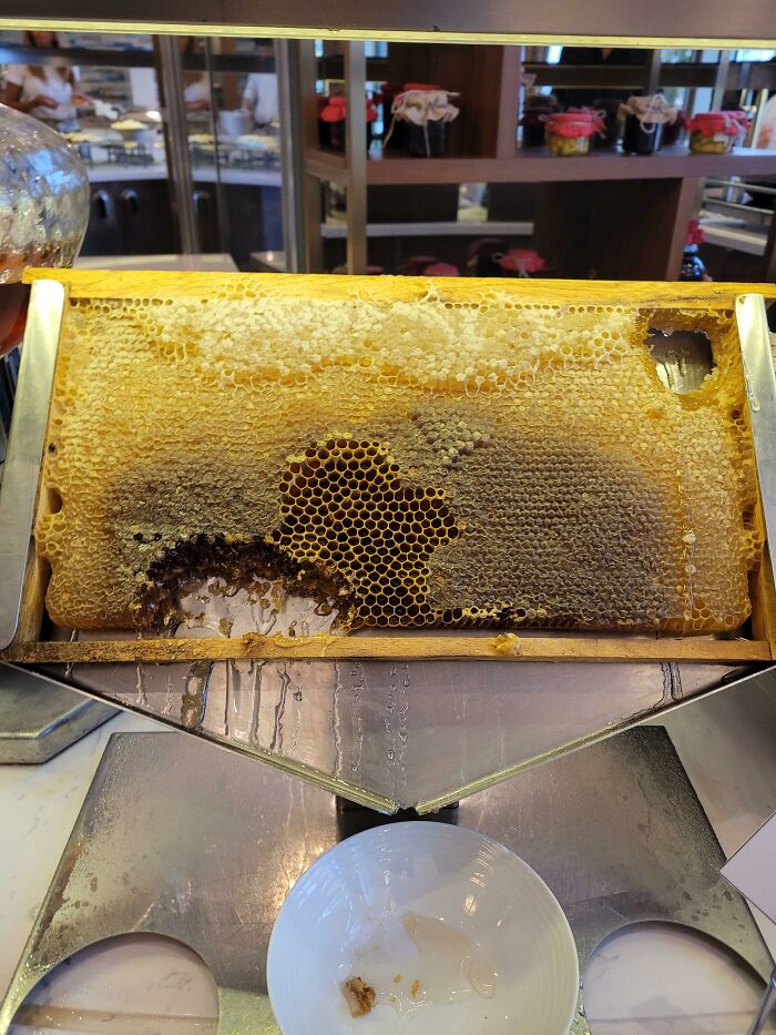 My Hotel In Istanbul Served A Whole Honeycomb For Breakfast