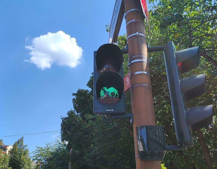  Este semáforo en Alemania muestra a una niña pequeña y a un camello en la luz de señalización