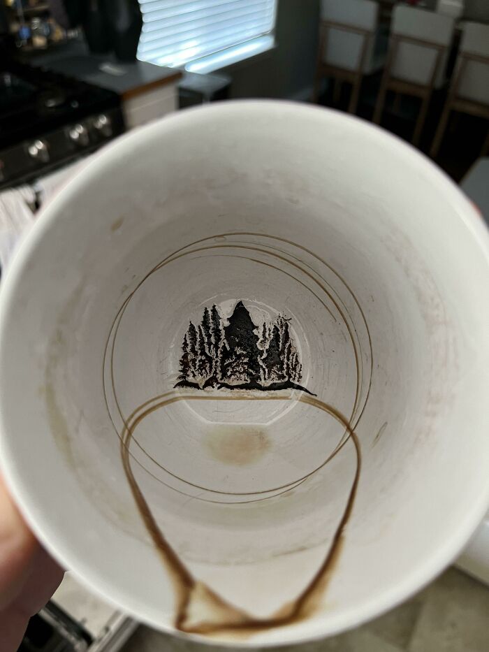 Mi taza de café sucia se ve como un bosque de pinos