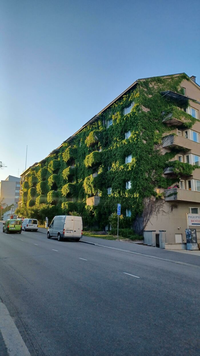 This Plant-Covered Apartment Building In Jyväskylä Finland