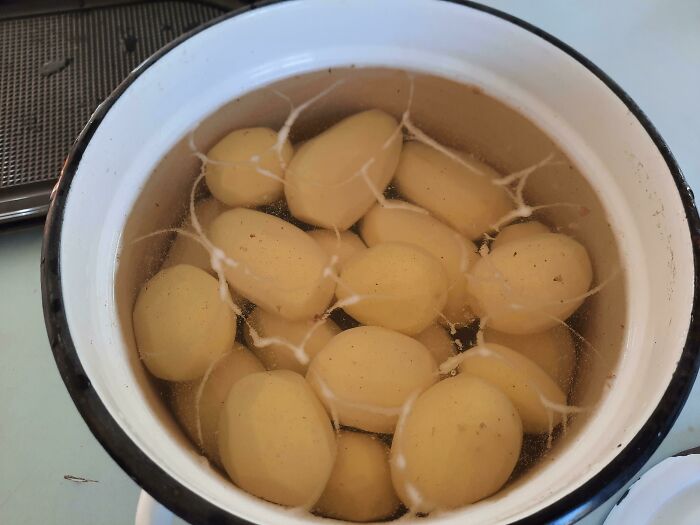 Starch Lines Above The Water Make Up The Exact 2D Outline Of The Potatoes Below