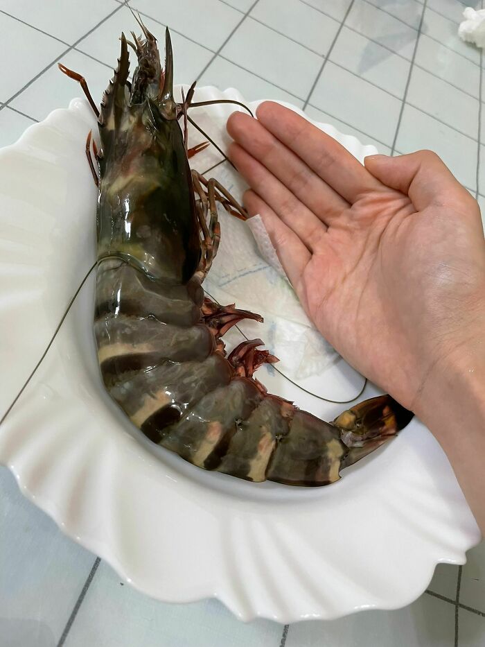 I Bought A Prawn The Size Of A Dinner Plate