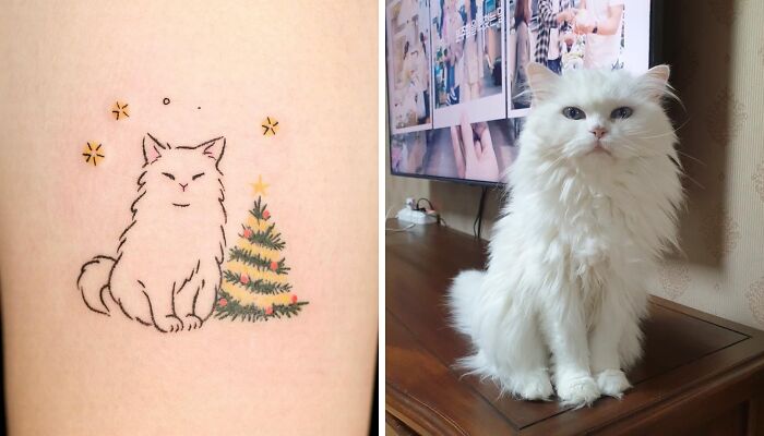 Little Tree And Fluffy Cat