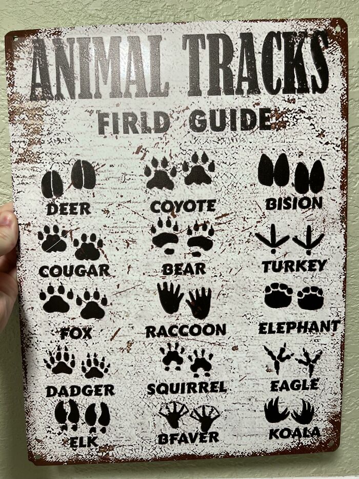 This “Animal Tracks” Wall Sign In My Airbnb