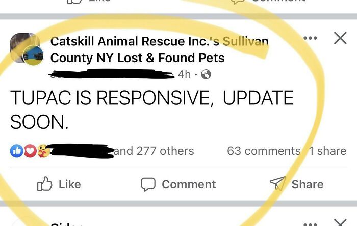 My Local Animal Shelter Almost Got Me 😂