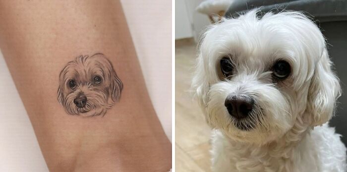 Dog's face tattoo