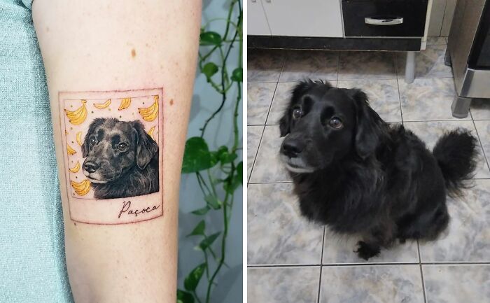 Dog's face tattoo