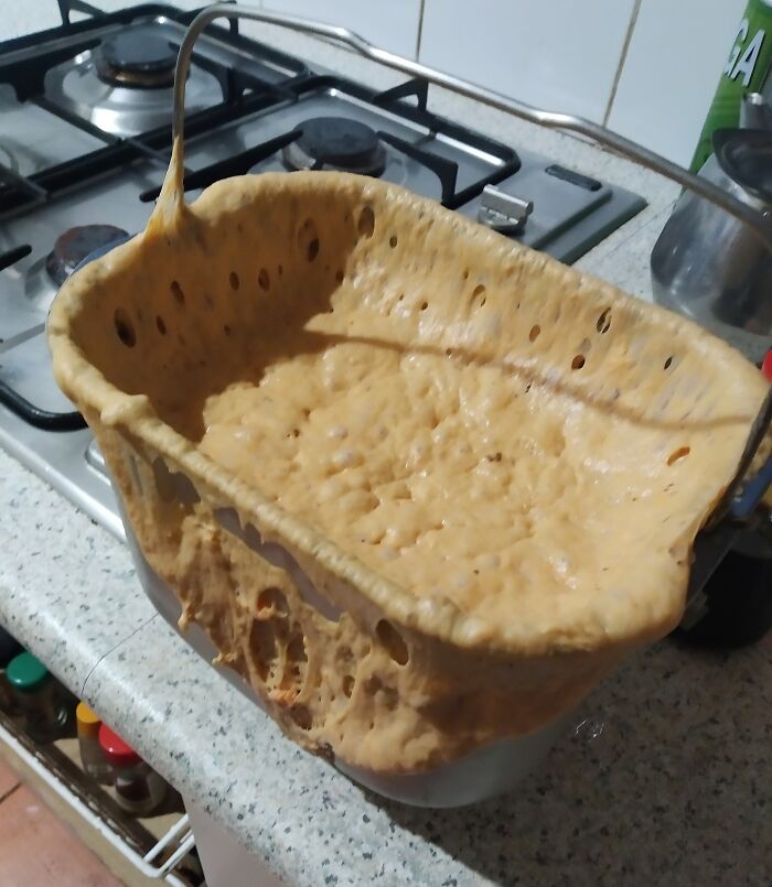 The Yeast Went A Bit Crazy In The Bread I Was Making