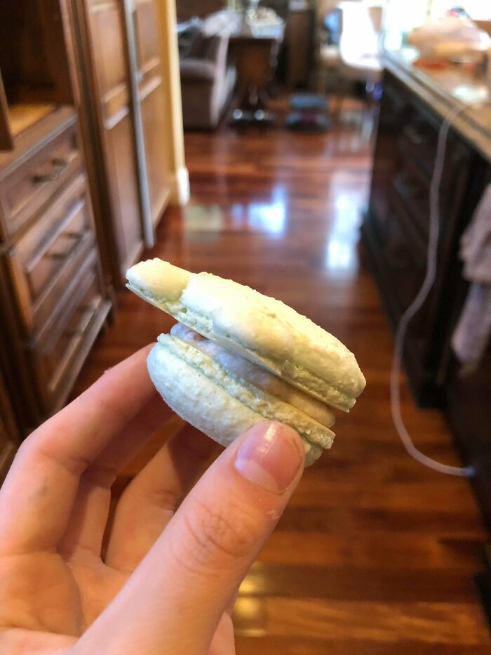 I Made Frog Macarons But The Tops Were Slightly Lumpy 