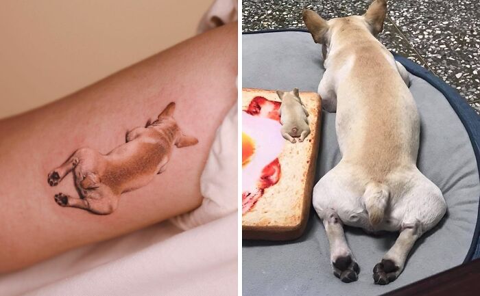 Dog lying tattoo 