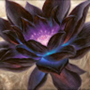 vincentmichiels avatar