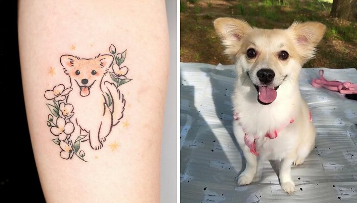 A Sunny Dog And A Jasmine Flower