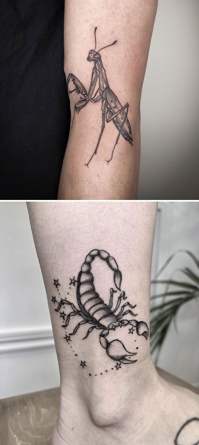 Praying mantis and scorpion tattoos showcasing simplicity and realism on forearm and leg.