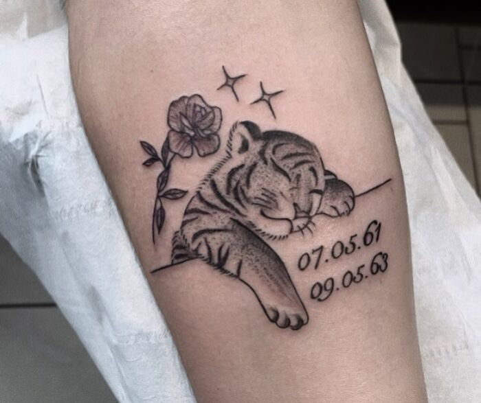 Animal tattoo featuring a sleeping tiger with flower and dates on forearm.