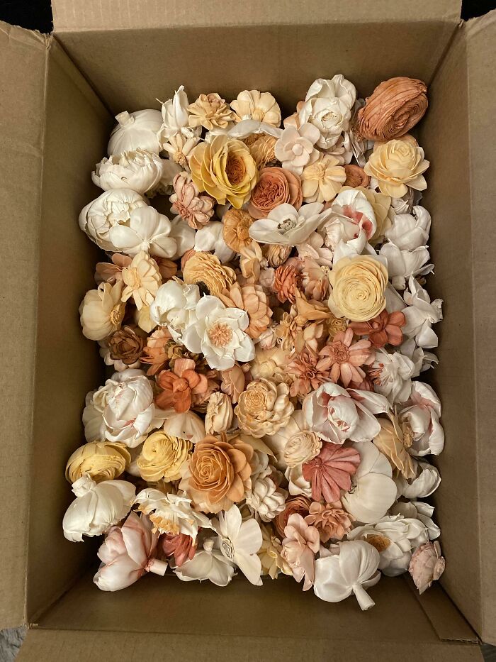 I Did It!! My Box Of 250 Hand-Dyed And Painted Sola Flowers